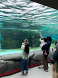 天王寺動物園に投稿された画像（2023/4/30）