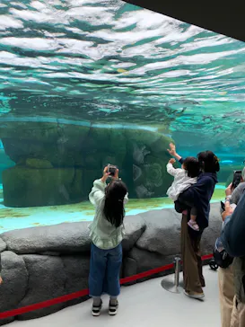 天王寺動物園に投稿された画像（2023/4/30）