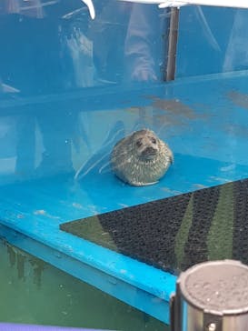 ゼロ距離水族館 伊勢シーパラダイスに投稿された画像（2023/4/30）