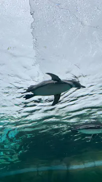 天王寺動物園に投稿された画像（2023/4/30）
