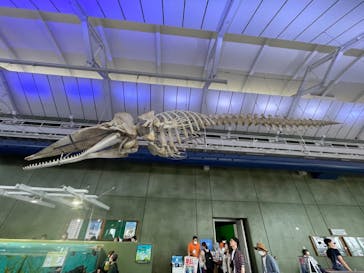 アクアワールド茨城県大洗水族館に投稿された画像（2023/4/30）