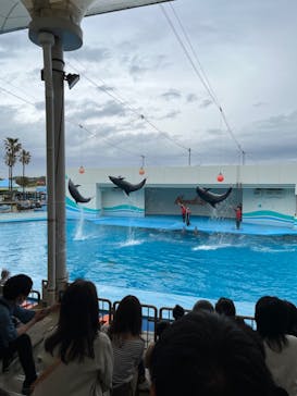 南知多ビーチランド＆南知多おもちゃ王国に投稿された画像（2023/4/30）