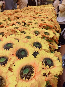 ゴッホ・アライブ神戸に投稿された画像（2023/4/30）