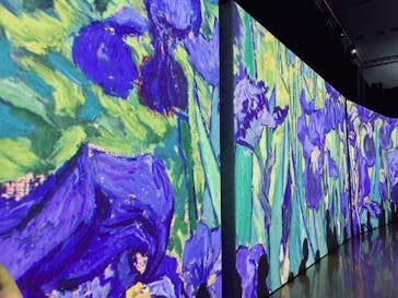 ゴッホ・アライブ神戸に投稿された画像（2023/4/30）