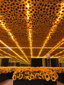 ゴッホ・アライブ神戸に投稿された画像（2023/4/30）