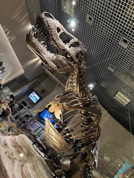 国立科学博物館に投稿された画像（2023/4/30）