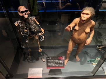 国立科学博物館に投稿された画像（2023/4/30）