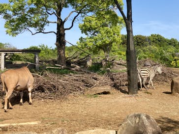 よこはま動物園ズーラシアに投稿された画像（2023/4/30）