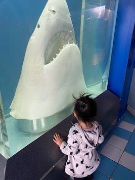 株式会社Gに投稿された画像（2023/4/30）