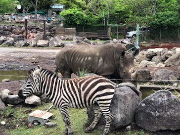 伊豆アニマルキングダムに投稿された画像（2023/4/30）