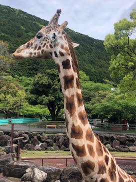 伊豆アニマルキングダムに投稿された画像（2023/4/30）