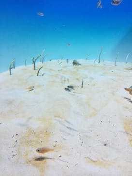 アクアワールド茨城県大洗水族館に投稿された画像（2023/4/30）