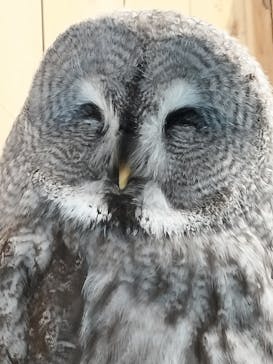 伊豆シャボテン動物公園に投稿された画像（2023/4/30）