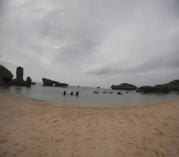 武藤潜水に投稿された画像（2023/4/30）