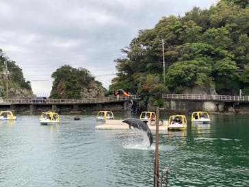 下田海中水族館に投稿された画像（2023/4/30）