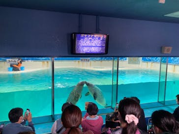 下田海中水族館に投稿された画像（2023/4/30）