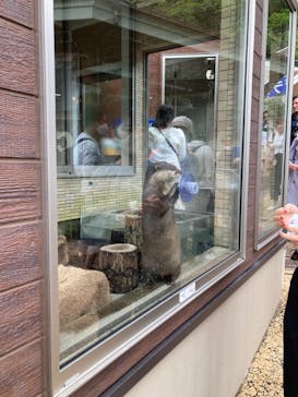 下田海中水族館に投稿された画像（2023/4/30）