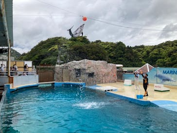 下田海中水族館に投稿された画像（2023/4/30）