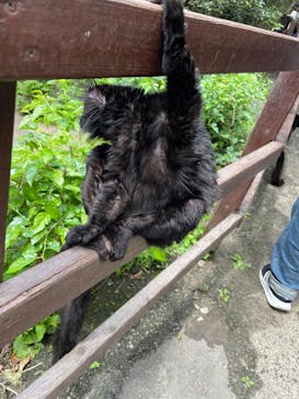 長崎バイオパークに投稿された画像（2023/4/30）