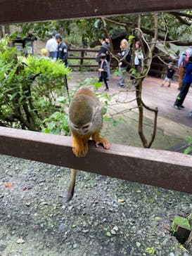 長崎バイオパークに投稿された画像（2023/4/30）