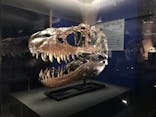 特別展「恐竜博2023」に投稿された画像（2023/4/30）