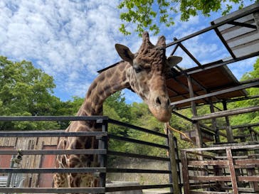 長崎バイオパークに投稿された画像（2023/4/30）