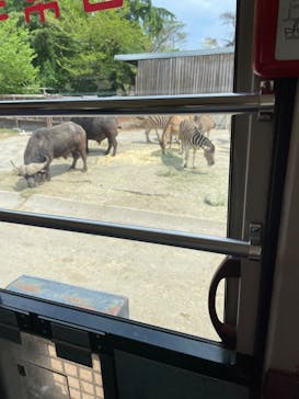 群馬サファリパークに投稿された画像（2023/4/30）