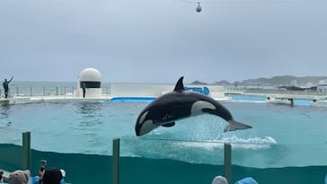 鴨川シーワールドに投稿された画像（2023/4/30）