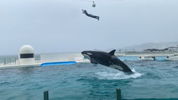 鴨川シーワールドに投稿された画像（2023/4/30）