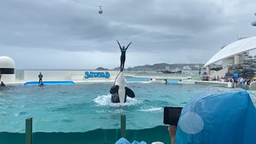 鴨川シーワールドに投稿された画像（2023/4/30）