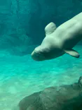 名古屋港水族館に投稿された画像（2023/4/30）