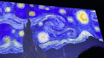 ゴッホ・アライブ神戸に投稿された画像（2023/4/30）