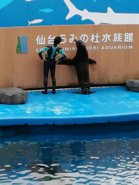 仙台うみの杜水族館に投稿された画像（2023/4/30）