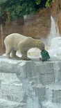 天王寺動物園に投稿された画像（2023/4/30）
