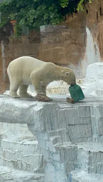 天王寺動物園に投稿された画像（2023/4/30）