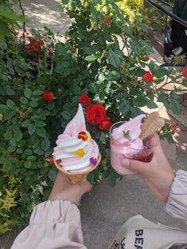 横浜イングリッシュガーデンに投稿された画像（2023/4/30）