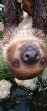 神戸どうぶつ王国に投稿された画像（2023/4/30）