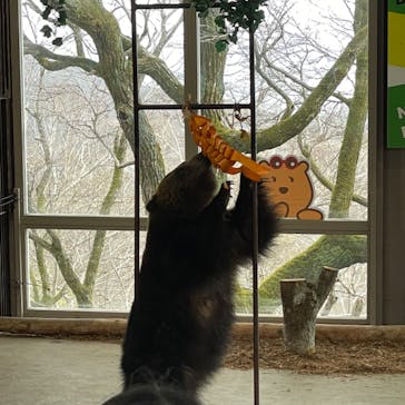 のぼりべつクマ牧場に投稿された画像（2023/4/30）