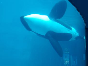 名古屋港水族館に投稿された画像（2023/4/30）