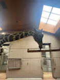 天王寺動物園に投稿された画像（2023/4/30）