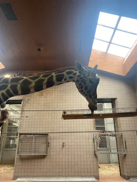 天王寺動物園に投稿された画像（2023/4/30）