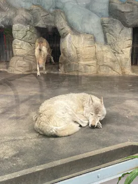 天王寺動物園に投稿された画像（2023/4/30）