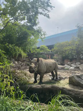 天王寺動物園に投稿された画像（2023/4/30）