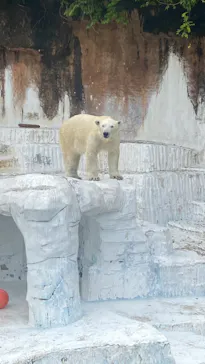 天王寺動物園に投稿された画像（2023/4/30）