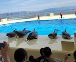 マリンワールド海の中道に投稿された画像（2023/4/30）