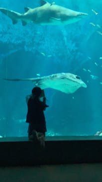 マリンワールド海の中道に投稿された画像（2023/4/30）