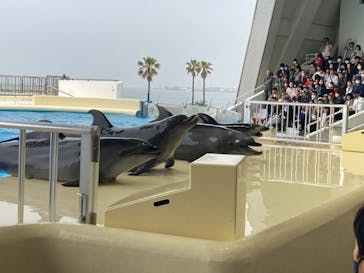 マリンワールド海の中道に投稿された画像（2023/4/30）