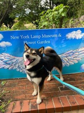 ニューヨークランプミュージアム＆フラワーガーデンに投稿された画像（2023/4/30）