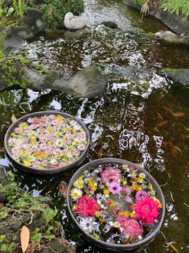 ニューヨークランプミュージアム＆フラワーガーデンに投稿された画像（2023/4/30）