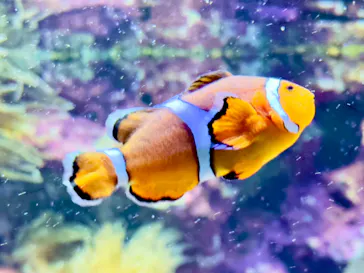 サンシャイン水族館に投稿された画像（2023/4/30）